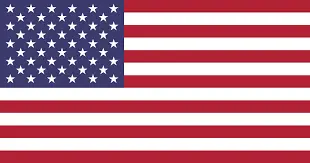 american flag-Palatine