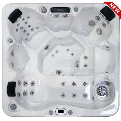 Costa-X EC-749LX hot tubs for sale in Palatine